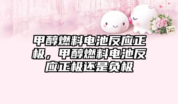 甲醇燃料電池反應(yīng)正極，甲醇燃料電池反應(yīng)正極還是負(fù)極