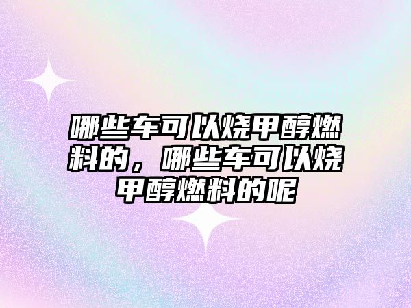 哪些車可以燒甲醇燃料的，哪些車可以燒甲醇燃料的呢