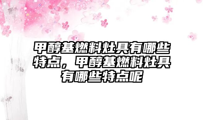 甲醇基燃料灶具有哪些特點(diǎn)，甲醇基燃料灶具有哪些特點(diǎn)呢