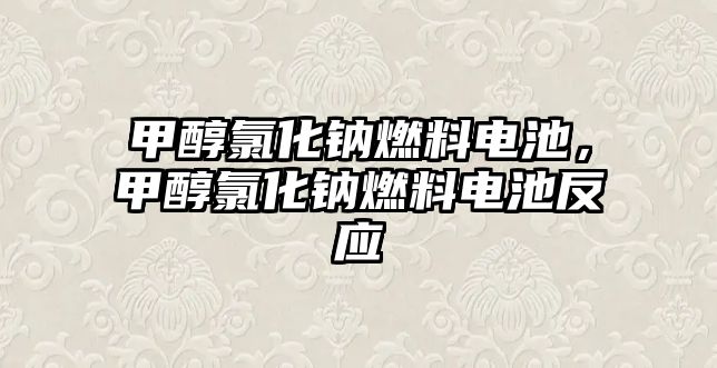 甲醇氯化鈉燃料電池，甲醇氯化鈉燃料電池反應(yīng)
