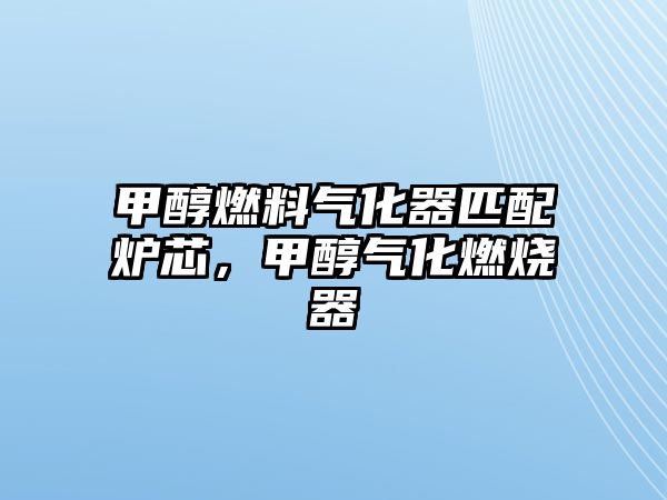 甲醇燃料氣化器匹配爐芯,甲醇?xì)饣紵? class=