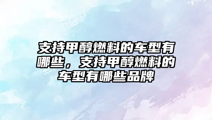 支持甲醇燃料的車型有哪些，支持甲醇燃料的車型有哪些品牌