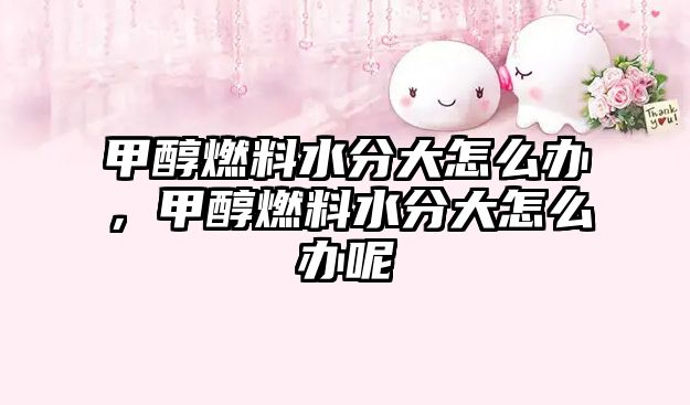 甲醇燃料水分大怎么辦，甲醇燃料水分大怎么辦呢