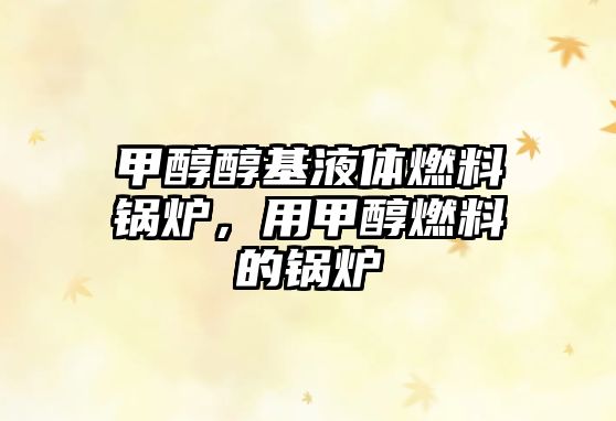 甲醇醇基液體燃料鍋爐，用甲醇燃料的鍋爐
