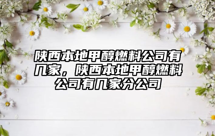 陜西本地甲醇燃料公司有幾家，陜西本地甲醇燃料公司有幾家分公司