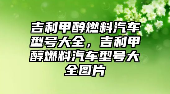 吉利甲醇燃料汽車型號大全，吉利甲醇燃料汽車型號大全圖片