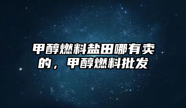 甲醇燃料鹽田哪有賣的，甲醇燃料批發(fā)