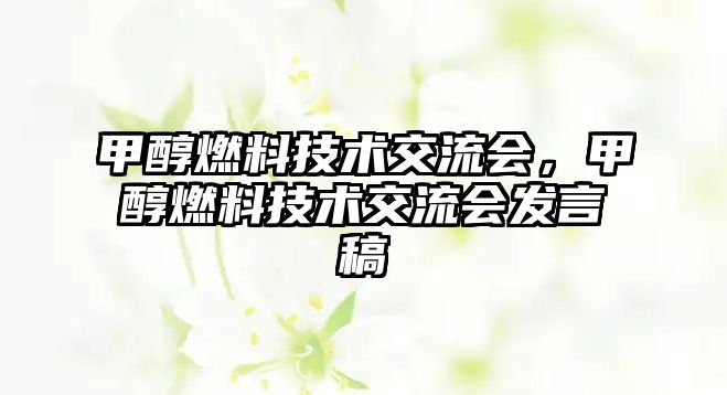 甲醇燃料技術(shù)交流會，甲醇燃料技術(shù)交流會發(fā)言稿
