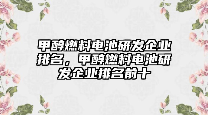 甲醇燃料電池研發(fā)企業(yè)排名，甲醇燃料電池研發(fā)企業(yè)排名前十