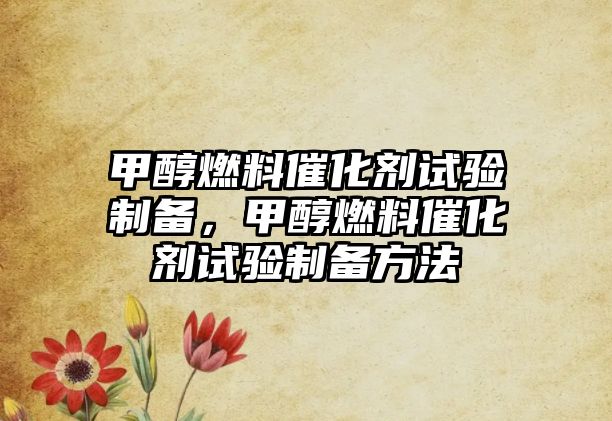 甲醇燃料催化劑試驗制備，甲醇燃料催化劑試驗制備方法