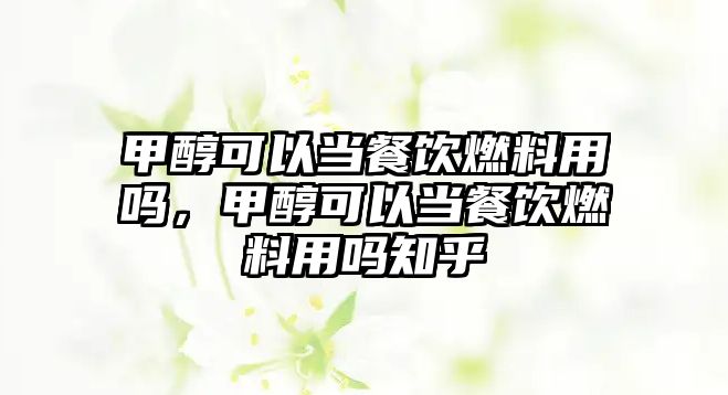 甲醇可以當(dāng)餐飲燃料用嗎，甲醇可以當(dāng)餐飲燃料用嗎知乎