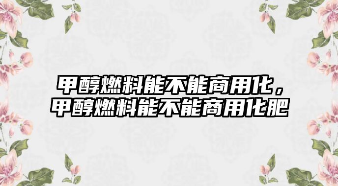 甲醇燃料能不能商用化，甲醇燃料能不能商用化肥