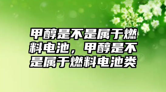 甲醇是不是屬于燃料電池，甲醇是不是屬于燃料電池類
