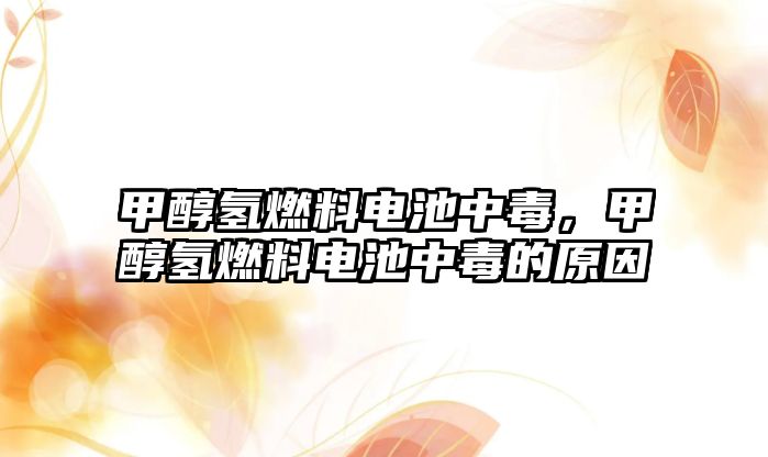 甲醇?xì)淙剂想姵刂卸荆状細(xì)淙剂想姵刂卸镜脑? class=