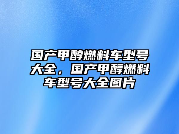 國產(chǎn)甲醇燃料車型號大全，國產(chǎn)甲醇燃料車型號大全圖片