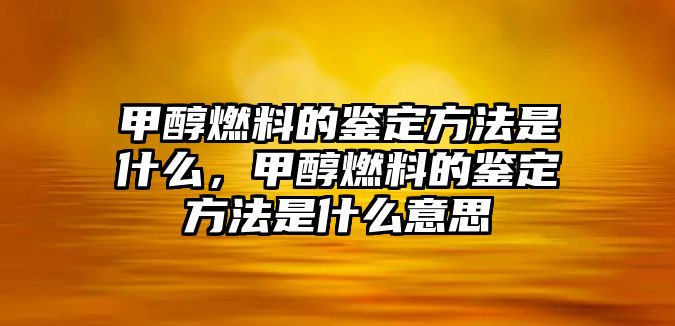 甲醇燃料的鑒定方法是什么，甲醇燃料的鑒定方法是什么意思